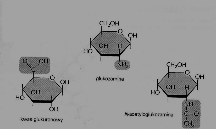 Monosacharydy - róŝnorodność izomeria optyczna L- glukoza D- glukoza konfiguracja α lub β