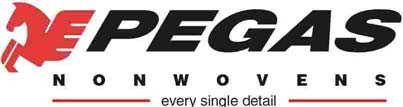 PEGAS NONWOVENS S.A. Niebadane skonsolidowane dane finansowe za okres pierwszych dziewięciu miesięcy 2008 r. 27 listopada 2008 r. PEGAS NONWOVENS S.A. ma przyjemność przedstawić niebadane skonsolidowane dane finansowe za okres pierwszych dziewięciu miesięcy zakończonych 30 września 2008 r.