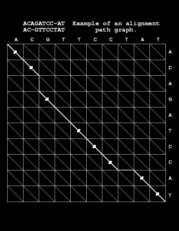 Macierze punktowe (dot plot) Graficzny sposób przyrównania dwóch sekwencji w dwuwymiarowej macierzy wizualna