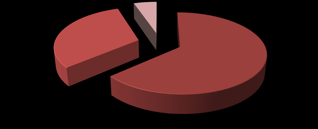 Absolwenci Liceum roku szkolnego 2015/ 37% 21% 42% Zdecydowana większość absolwentów Technikum podjęła pracę zawodową (64%).