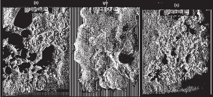 Spaleniowa synteza nanoproszków wolframu, tantalu i molibdenu 261 najmniej 900 C.