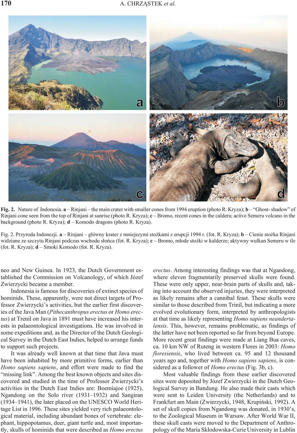 Kryza); d Ko mo do drag ons (photo R. Kryza). Fig. 2. Przyroda Indonezji. a Rinjani g³ówny krater z mniejszymi sto kami z erupcji 1994 r. (fot. R. Kryza); b Cienie sto ka Rinjani widziane ze szczytu Rinjani podczas wschodu s³oñca (fot.