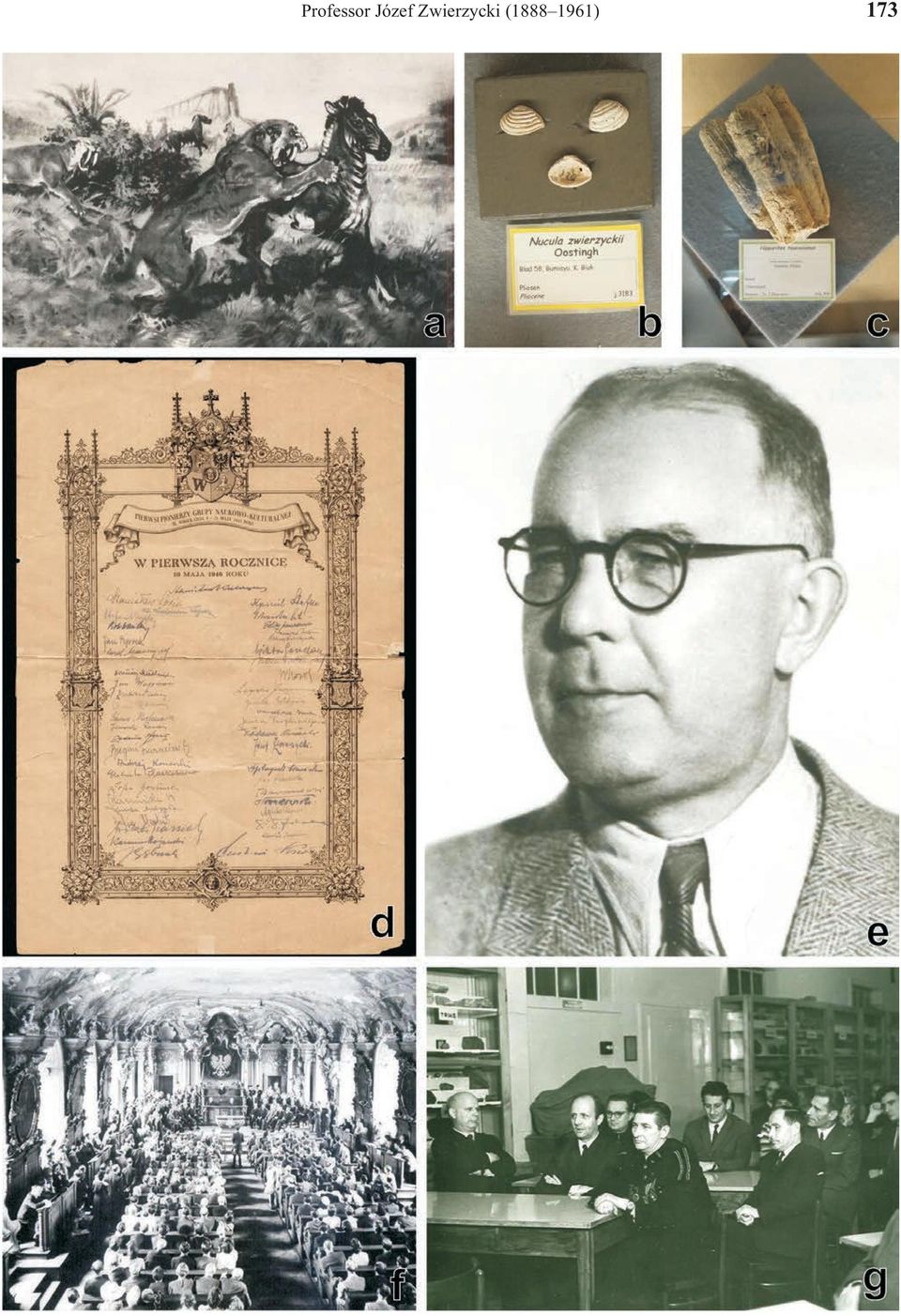 Zwierzycki