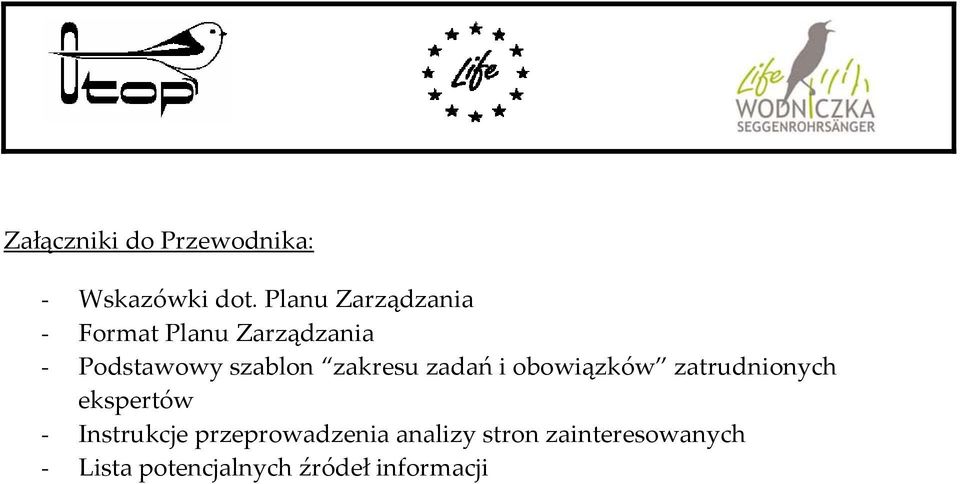 szablon zakresu zadań i obowiązków zatrudnionych ekspertów -