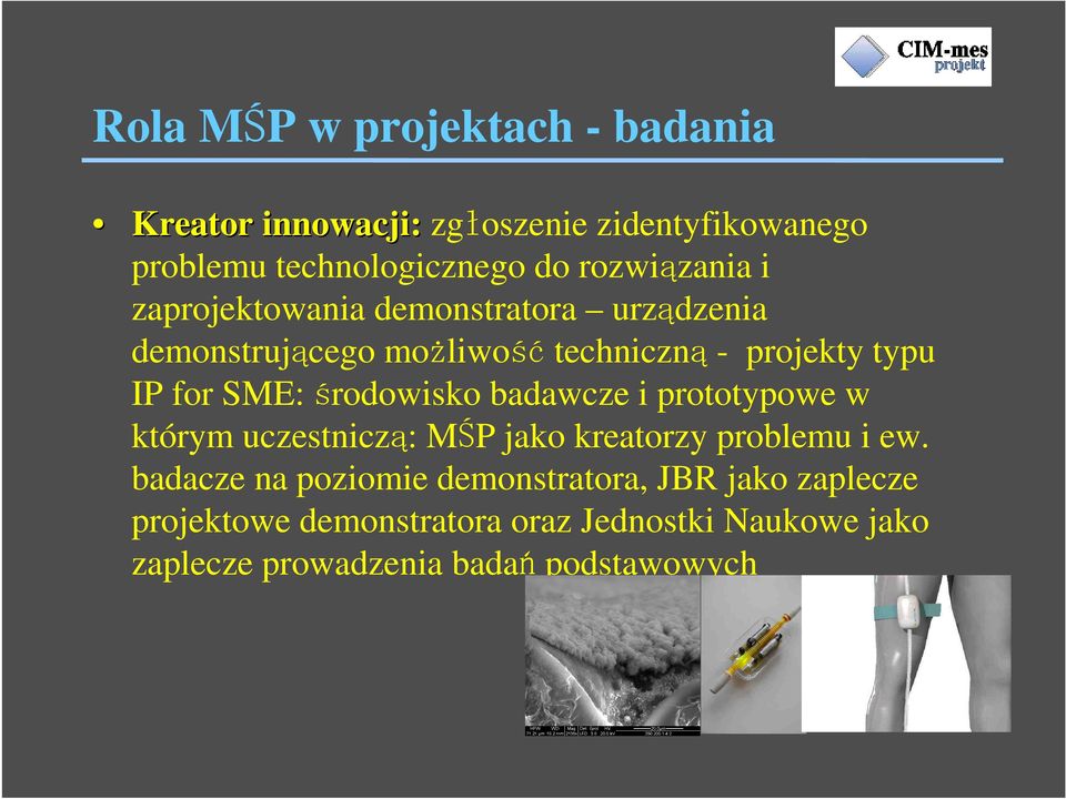 projekty typu IP for SME: środowisko badawcze i prototypowe w którym uczestniczą: MŚP jako kreatorzy problemu i ew.