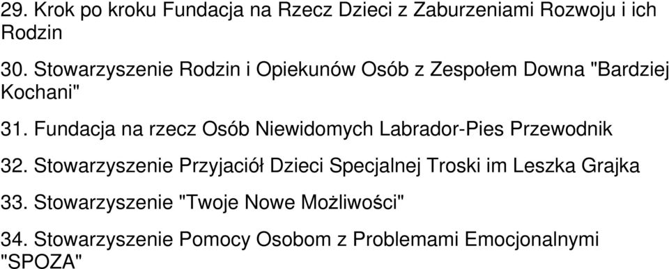 Fundacja na rzecz Osób Niewidomych Labrador-Pies Przewodnik 32.