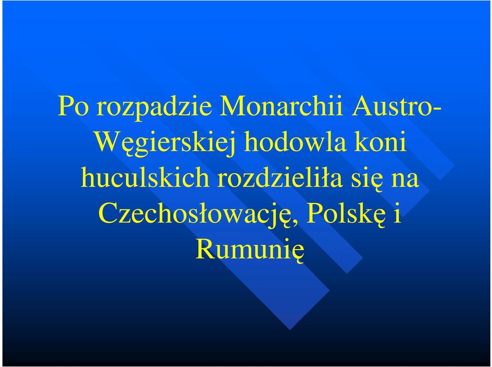 koni huculskich rozdzieliła