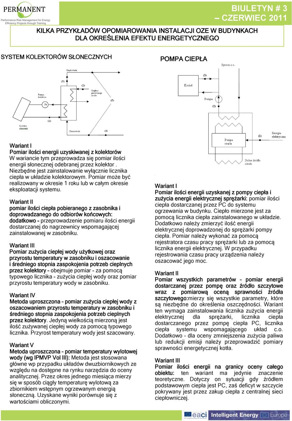 może być realizowany w okresie 1 roku lub w całym okresie eksploatacji systemu.