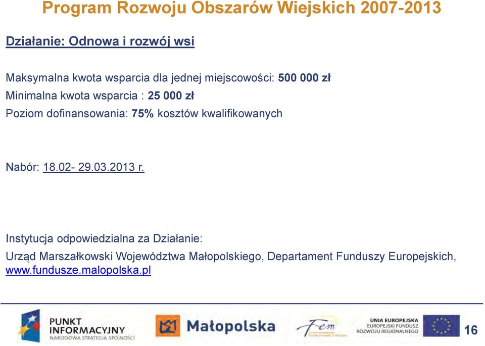 dofinansowania: 75% kosztów kwalifikowanych Nabór: 18.02-29.03.2013 r.
