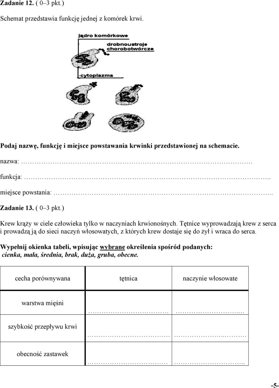 Tętnice wyprowadzają krew z serca i prowadzą ją do sieci naczyń włosowatych, z których krew dostaje się do żył i wraca do serca.