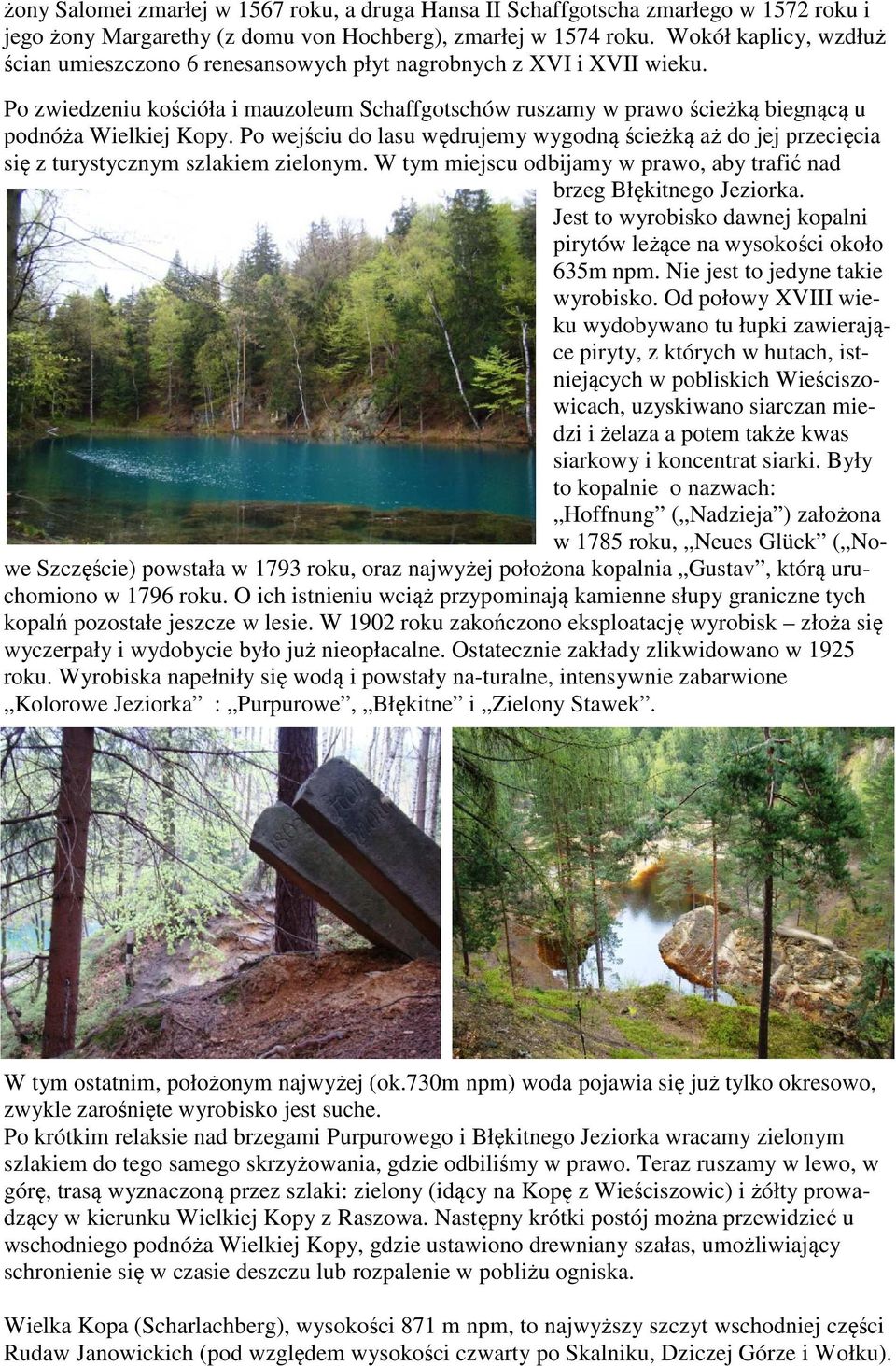 Po wejściu do lasu wędrujemy wygodną ścieżką aż do jej przecięcia się z turystycznym szlakiem zielonym. W tym miejscu odbijamy w prawo, aby trafić nad brzeg Błękitnego Jeziorka.