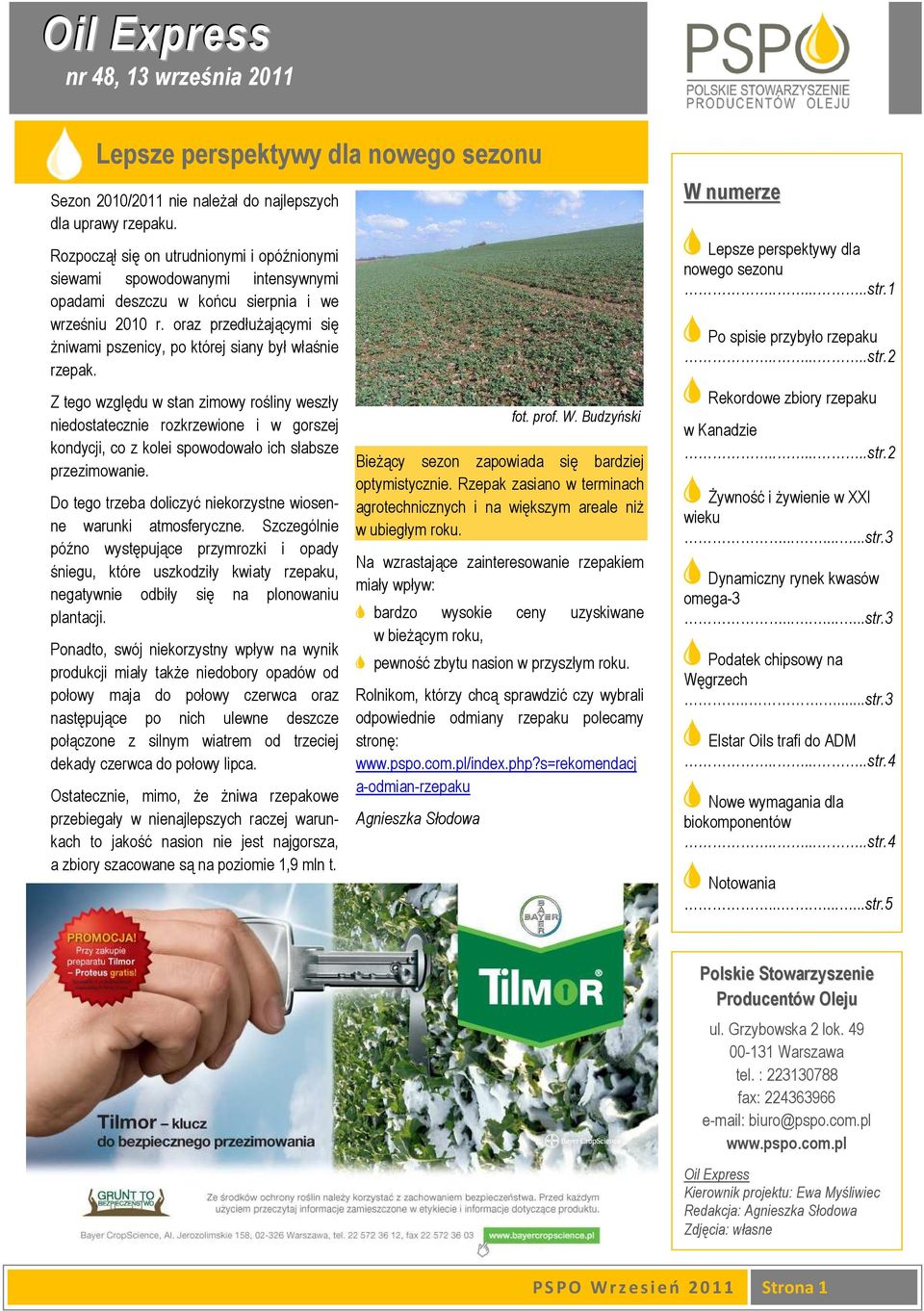 oraz przedłuŝającymi się Ŝniwami pszenicy, po której siany był właśnie rzepak.