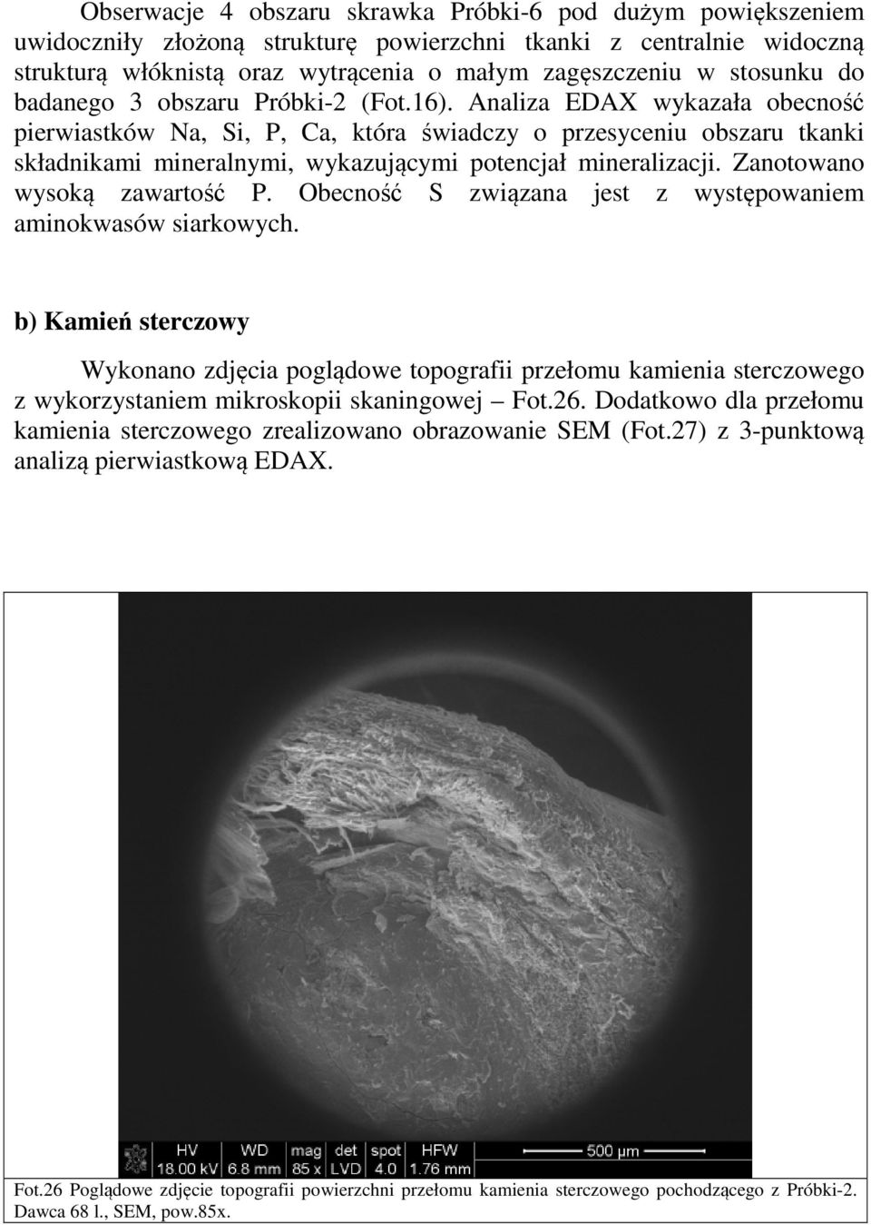 Analiza EDAX wykazała obecność pierwiastków Na, Si, P, Ca, która świadczy o przesyceniu obszaru tkanki składnikami mineralnymi, wykazującymi potencjał mineralizacji. Zanotowano wysoką zawartość P.