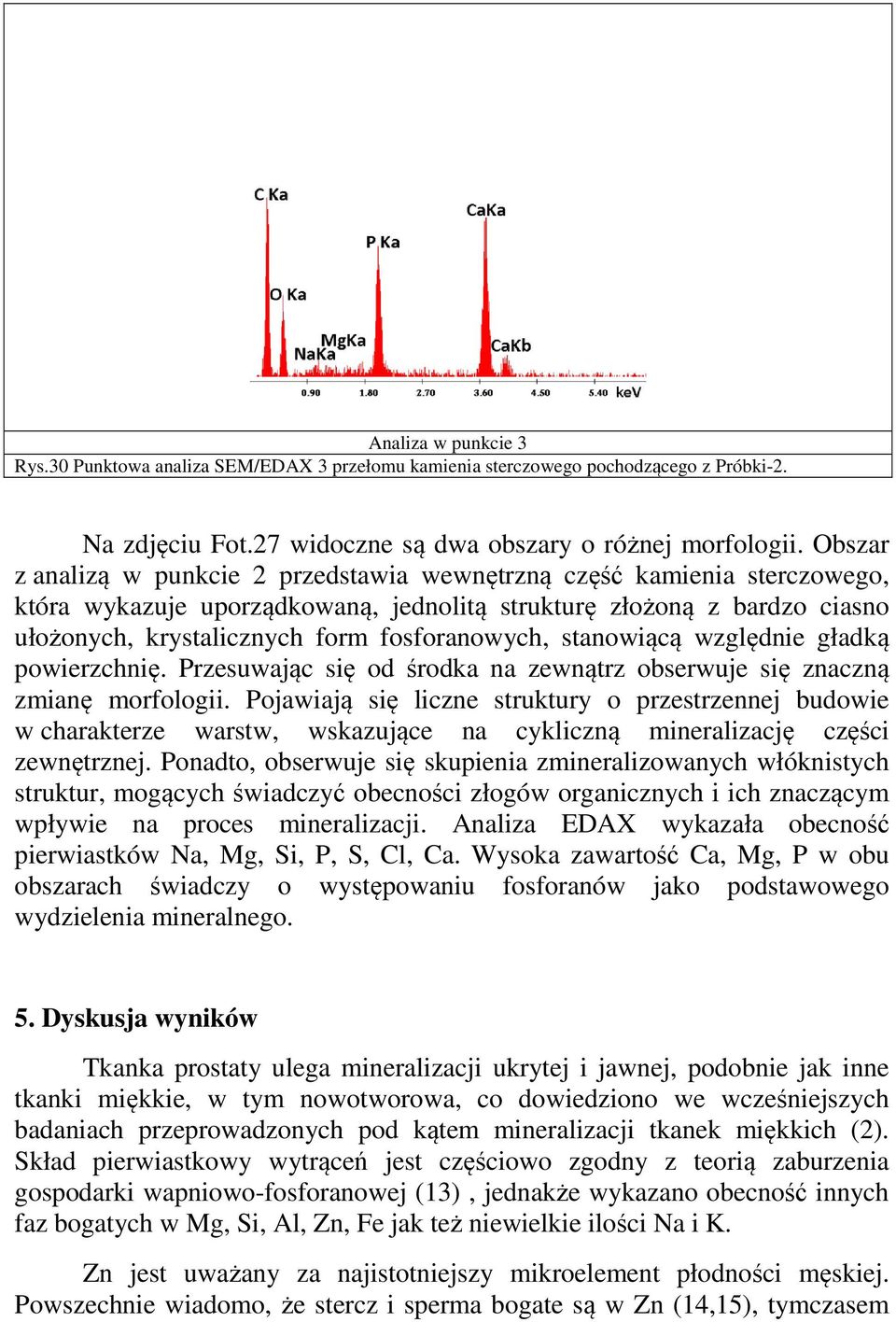 stanowiącą względnie gładką powierzchnię. Przesuwając się od środka na zewnątrz obserwuje się znaczną zmianę morfologii.