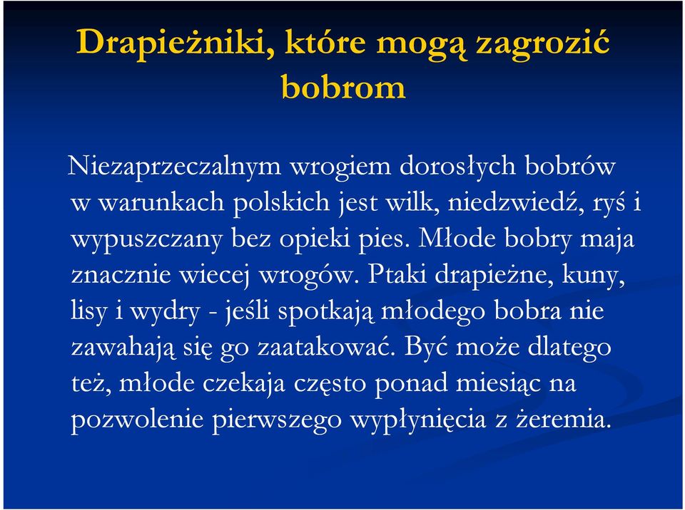 Młode bobry maja znacznie wiecej wrogów.