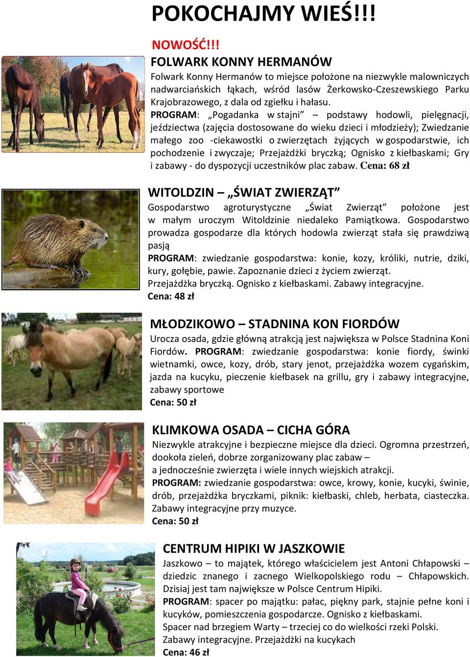 hałasu.