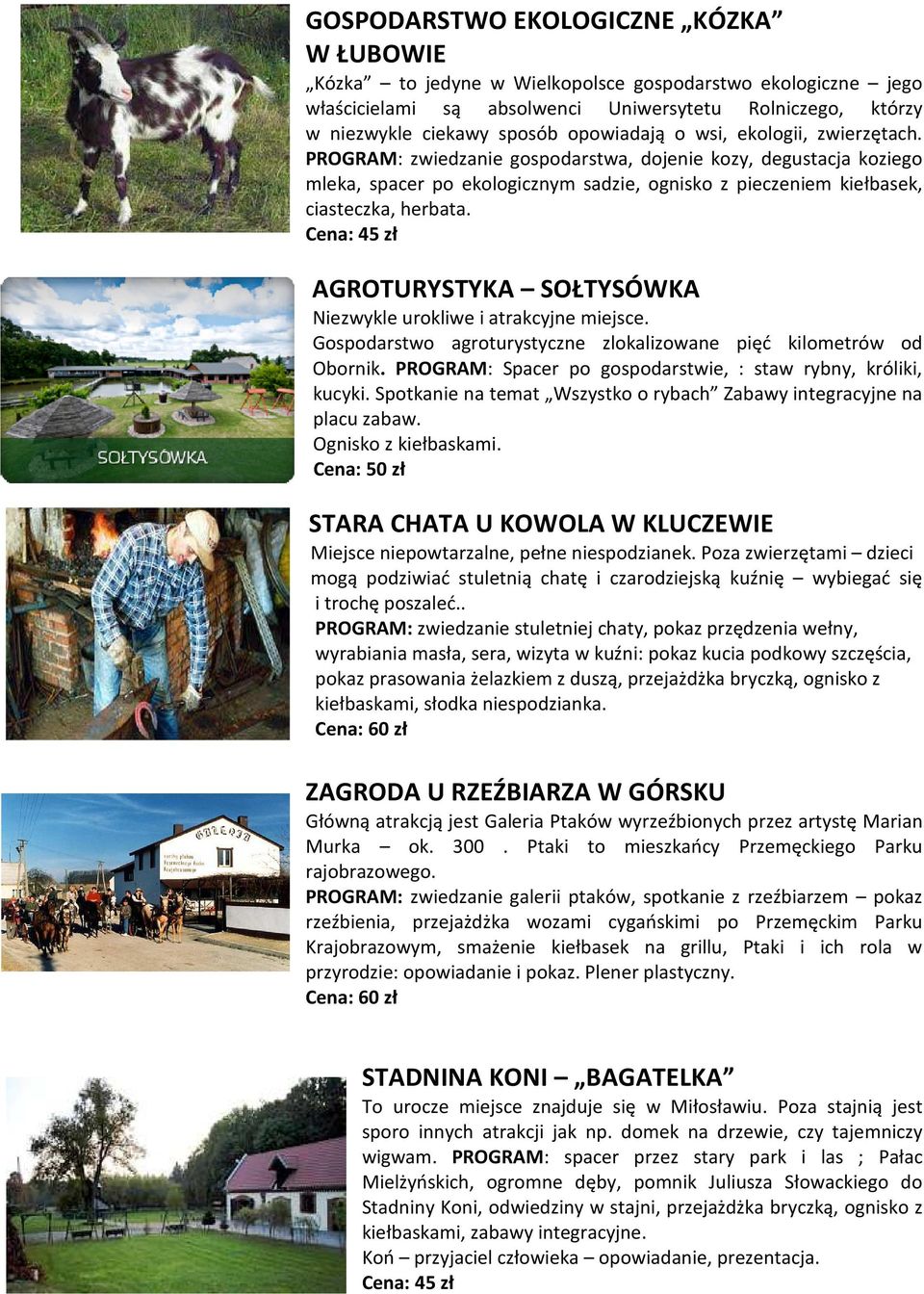 AGROTURYSTYKA SOŁTYSÓWKA Niezwykle urokliwe i atrakcyjne miejsce. Gospodarstwo agroturystyczne zlokalizowane pięć kilometrów od Obornik.
