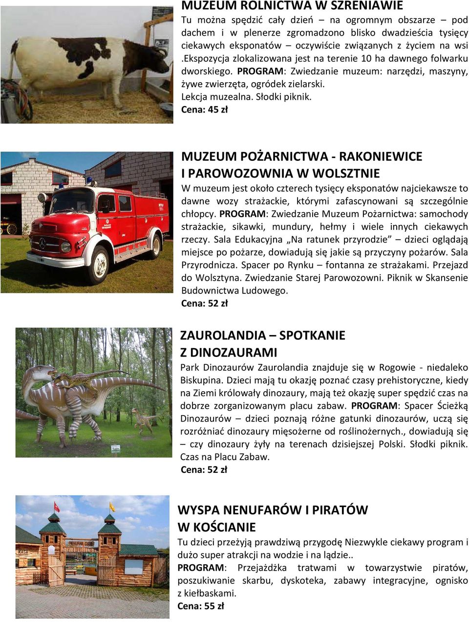MUZEUM POŻARNICTWA - RAKONIEWICE I PAROWOZOWNIA W WOLSZTNIE W muzeum jest około czterech tysięcy eksponatów najciekawsze to dawne wozy strażackie, którymi zafascynowani są szczególnie chłopcy.