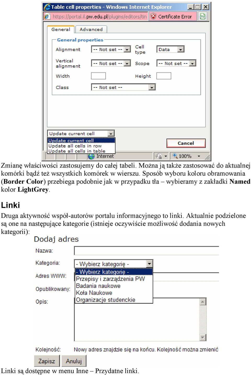 Sposób wyboru koloru obramowania (Border Color) przebiega podobnie jak w przypadku tła wybieramy z zakładki Named kolor