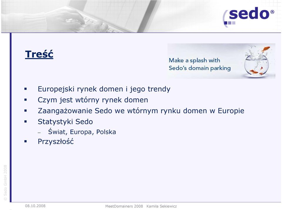 Sedo we wtórnym rynku domen w Europie