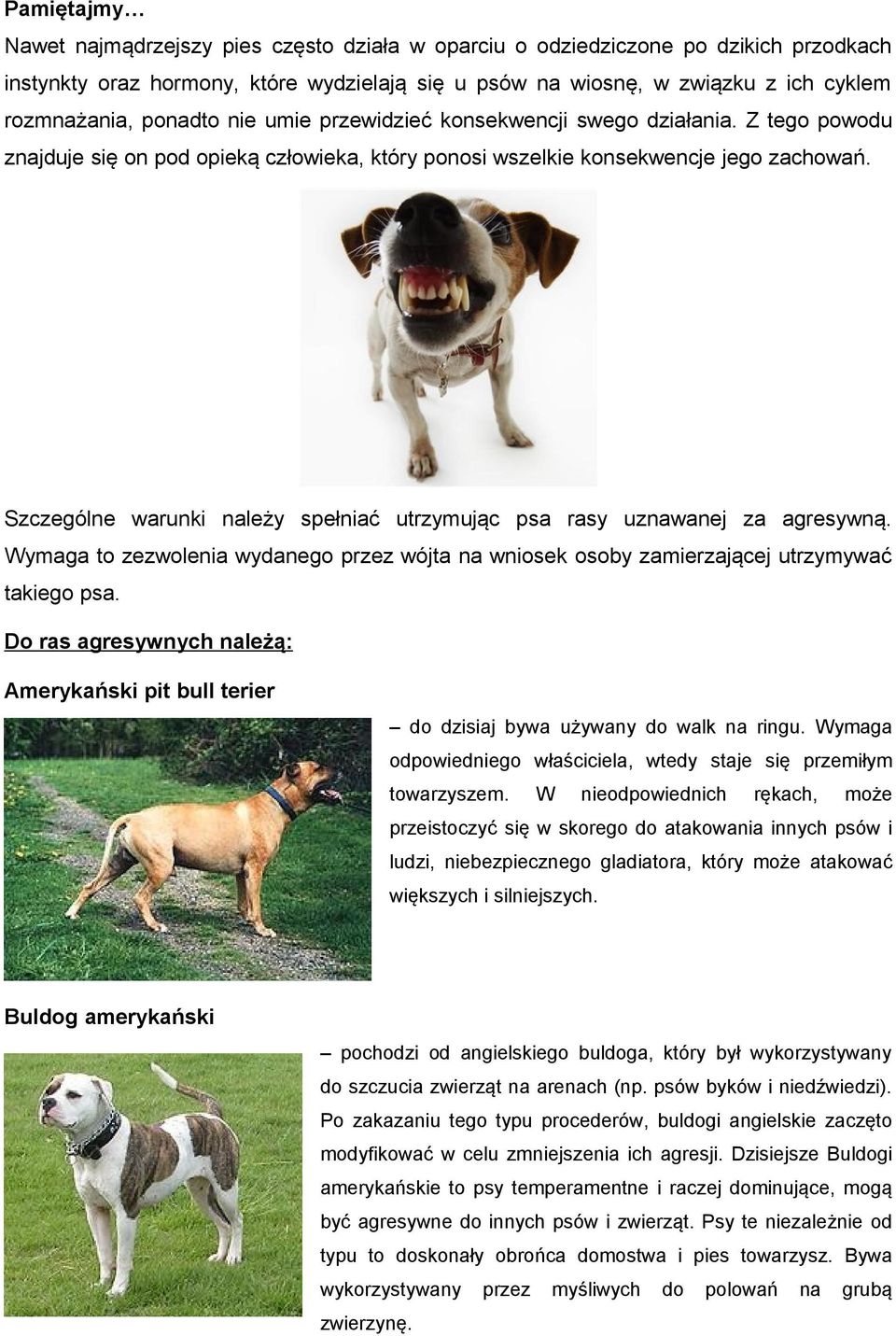 Szczególne warunki należy spełniać utrzymując psa rasy uznawanej za agresywną. Wymaga to zezwolenia wydanego przez wójta na wniosek osoby zamierzającej utrzymywać takiego psa.