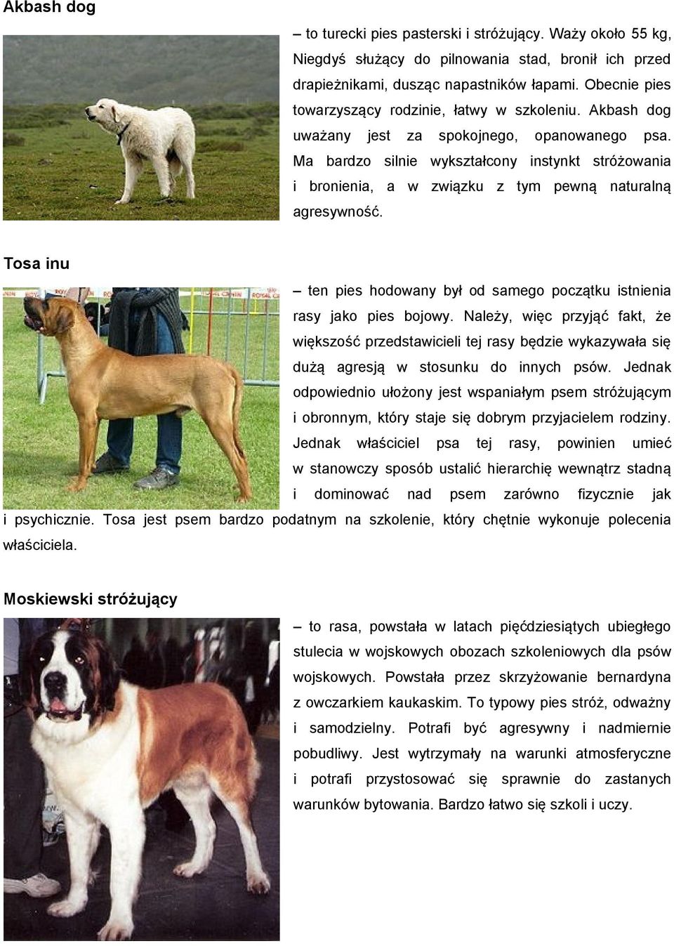 Ma bardzo silnie wykształcony instynkt stróżowania i bronienia, a w związku z tym pewną naturalną agresywność. Tosa inu ten pies hodowany był od samego początku istnienia rasy jako pies bojowy.