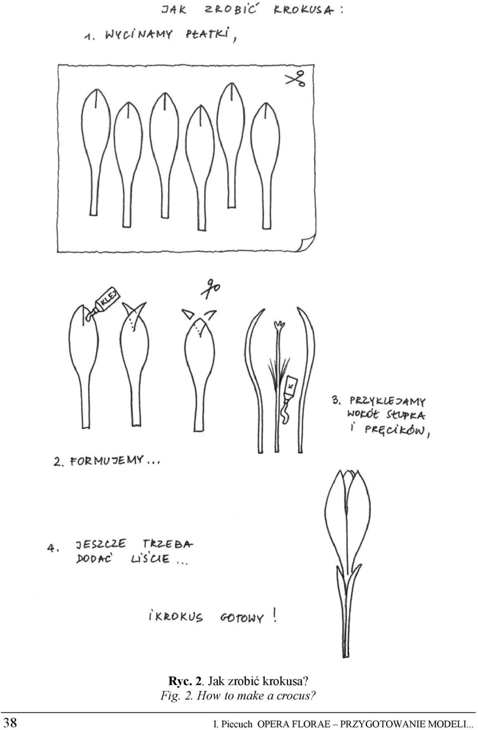 How to make a crocus? 38 I.