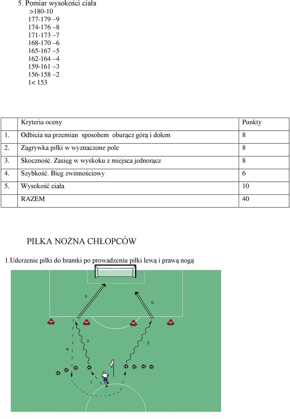 Zagrywka piłki w wyznaczone pole 8 3. Skoczność. Zasięg w wyskoku z miejsca jednorącz 8 4. Szybkość.