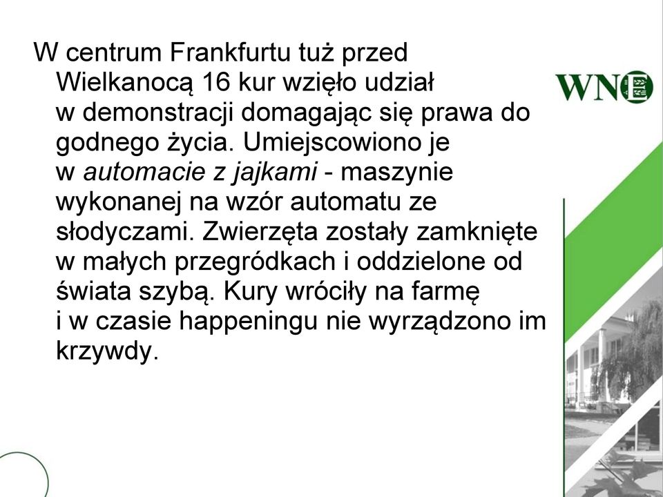 Umiejscowiono je w automacie z jajkami - maszynie wykonanej na wzór automatu ze