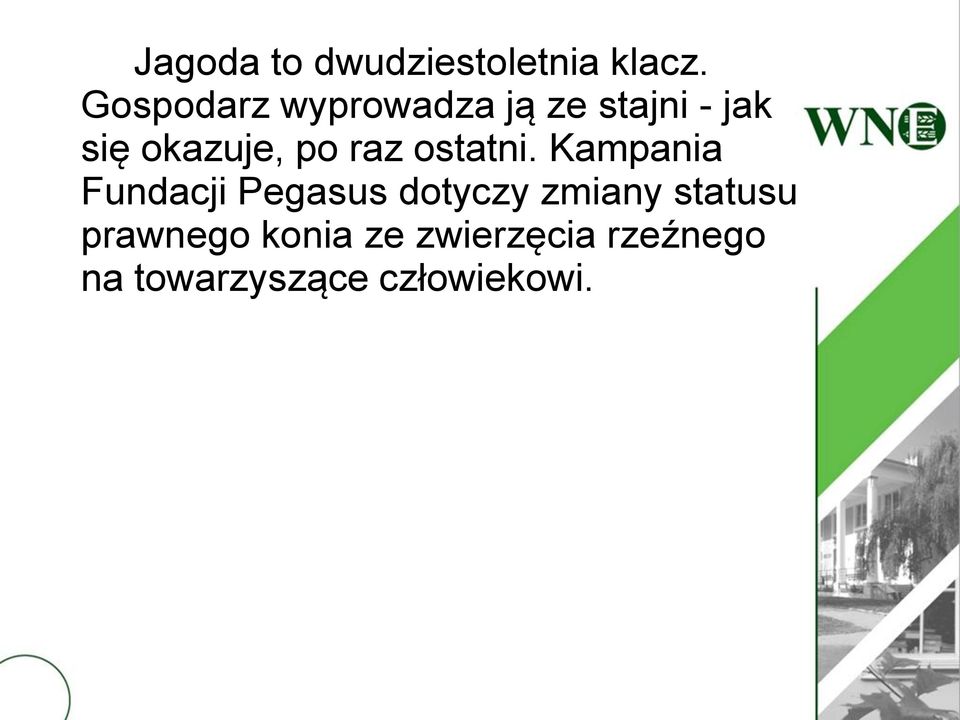 po raz ostatni.