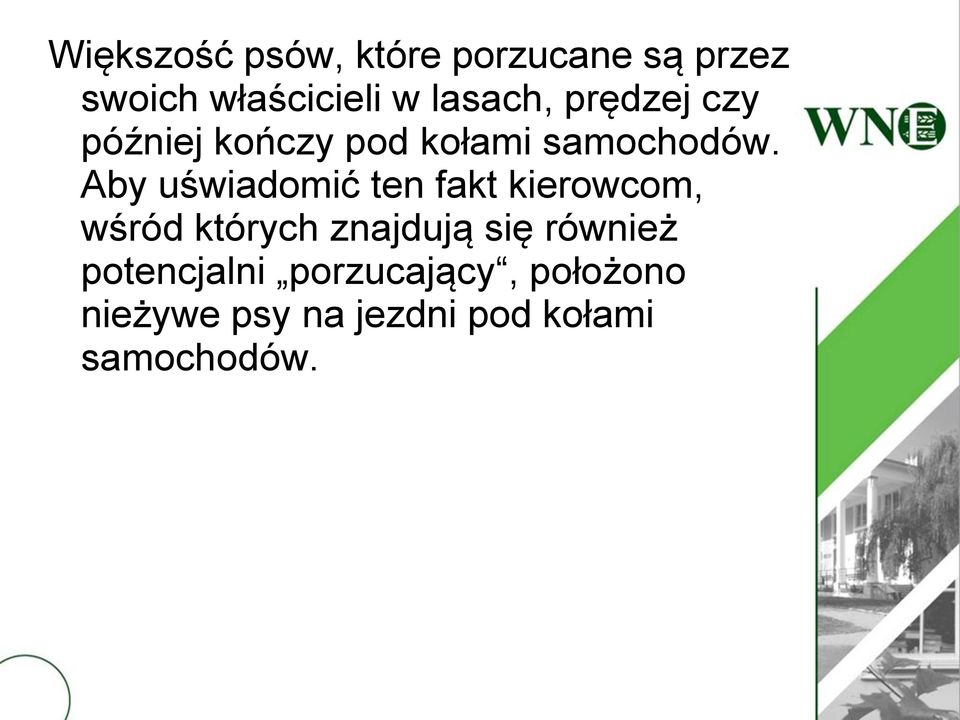 Aby uświadomić ten fakt kierowcom, wśród których znajdują się