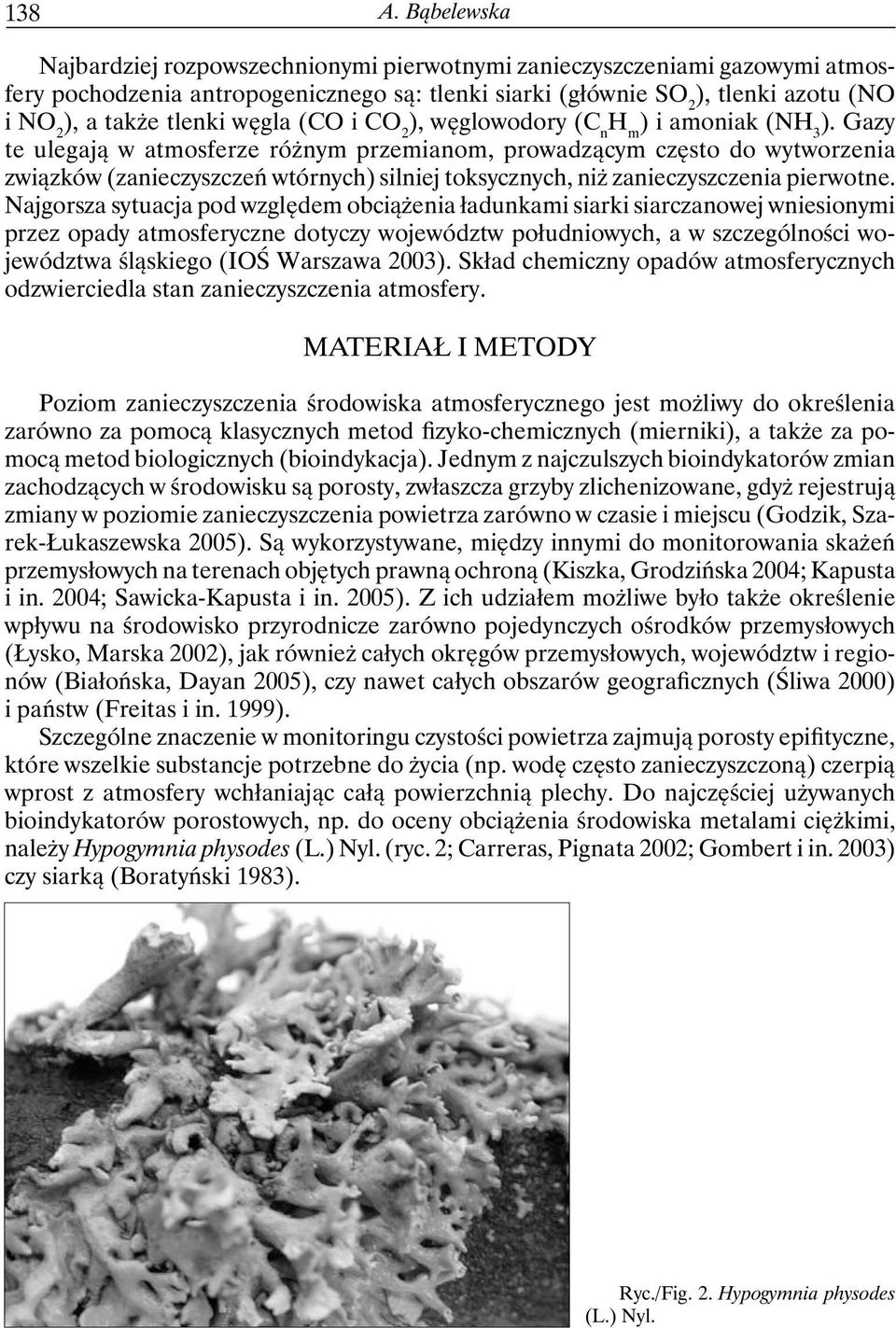 węgla (CO i CO 2 ), węglowodory (C n H m ) i amoniak (NH 3 ).