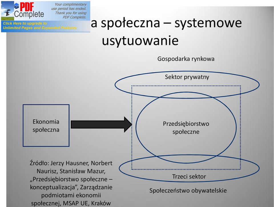 Naurisz, Stanisław Mazur, Przedsiębiorstwo społeczne konceptualizacja,