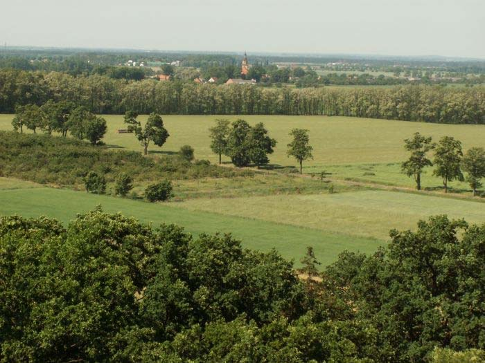 WIEŚ W KRAJOBRAZIE PARKOWYM TUREW, PARK