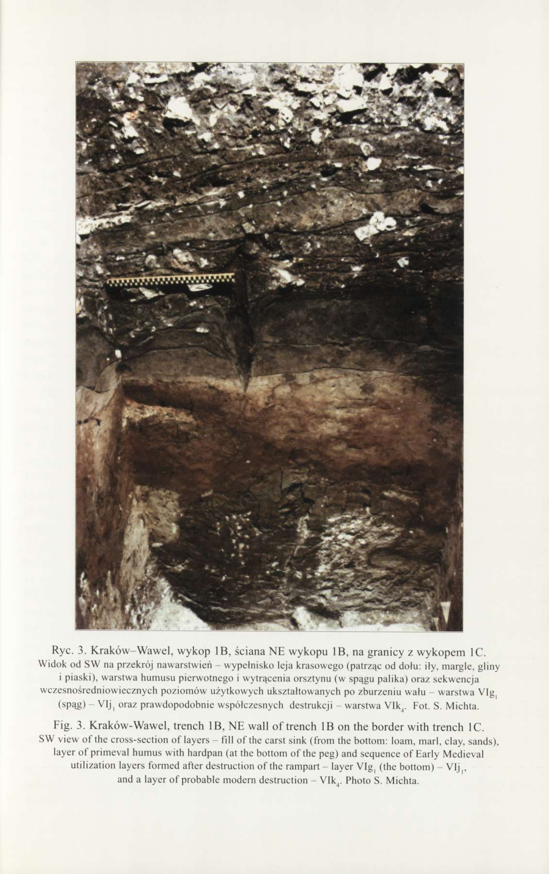 Ryc. 3. Kraków-Wawel, wykop 1B, ściana NE wykopu 1B, na granicy z wykopem 1C.