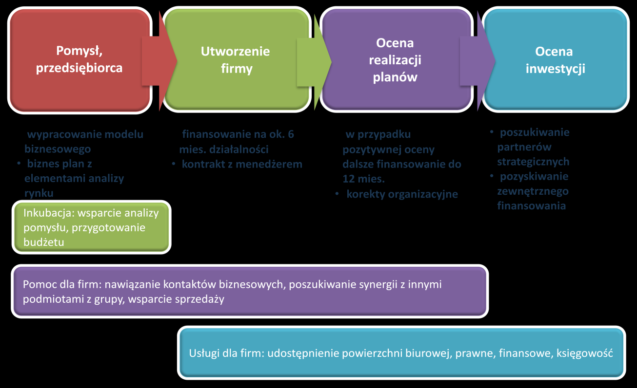 Strategia inwestycyjna w zakresie projektów własnych Własna idea Nie płacimy premii za pomysł kontrolujemy w pełni proces rozwoju biznesu!
