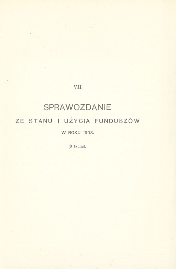 VII. SPRAWOZDANIE ZE STANU I