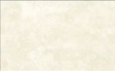 CERAMIKA ŚCIENNA I PODŁOGOWA / ceramic tiles CERAMIKA ŚCIENNA I PODŁOGOWA / ceramic tiles REGNA WHITE PS216 BLUE REGNA BLACK PPU301 WHITE REGNA WHITE PS209 GREY PS211 GREY