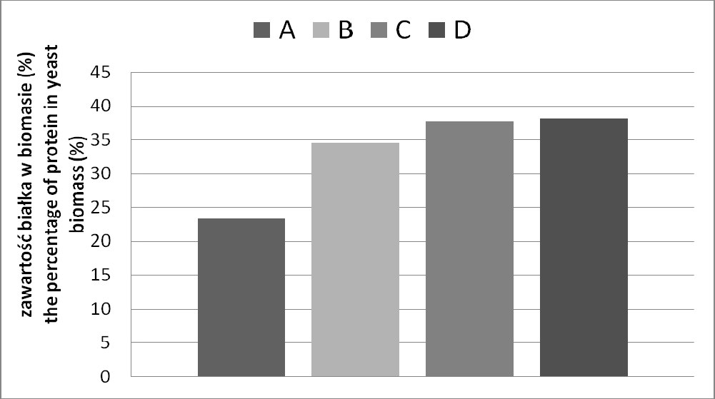 12 K. Cybulski i in. zawartość białka w biomasie [%] the percentage of protein in yeast biomass Rys. 3. Procentowa zawartość białka w biomasie drożdży Y.