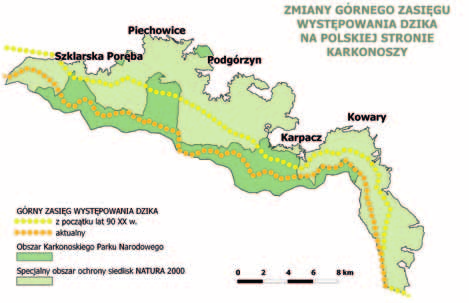 Dzik w Karkonoszach przebywa głównie w piętrze pogórza i regla dolnego, w lasach sąsiadujących z polami i uprawami rolnymi.