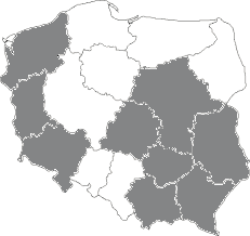 Analiza przestrzennego zróżnicowania zmian... 57 zwrócono w badaniu na wyjaśnienie tempa zmian w potencjale infrastrukturalnym, uwzględniając macierz wag.