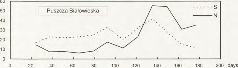 Phoridae in pine forests 2 7 9 18.7% in Bory T u ch o lsk ie to 33.5% in P uszcza B iała.