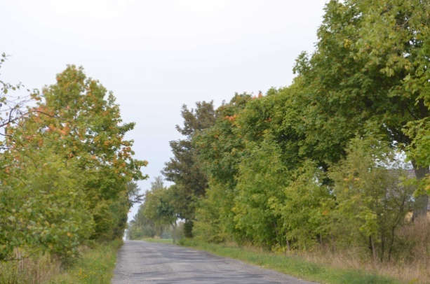 Droga nr 4 / DW 231 Pieniążkowo- Włosienica (do granicy gminy, województwa) Dane ogólne Zarząd drogi Droga wojewódzka nr 231 Nr GPS początek: 53.696225, 18.721249 koniec: 53.689345, 18.
