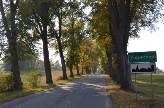 Droga nr 2/ 228024G Piaseczno Aleja zbudowana jest głównie z lip drobnolistnych Dane ogólne Zarząd drogi Miasto i Gmina Gniew Nr GPS Początek 53.808874, 18.781931 Koniec 53.799824, 18.