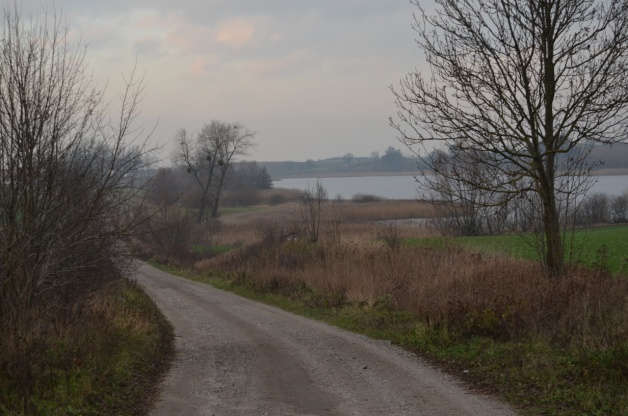Droga nr 15/ G Od DK 90 - Jeleń Zadrzewienie zbudowane z jesionów, domieszkę tworzą zakrzaczenia i przydrożna jbłoń Dane ogólne Zarząd drogi Miasto i Gmina Gniew Nr GPS początek: 53.765360, 18.
