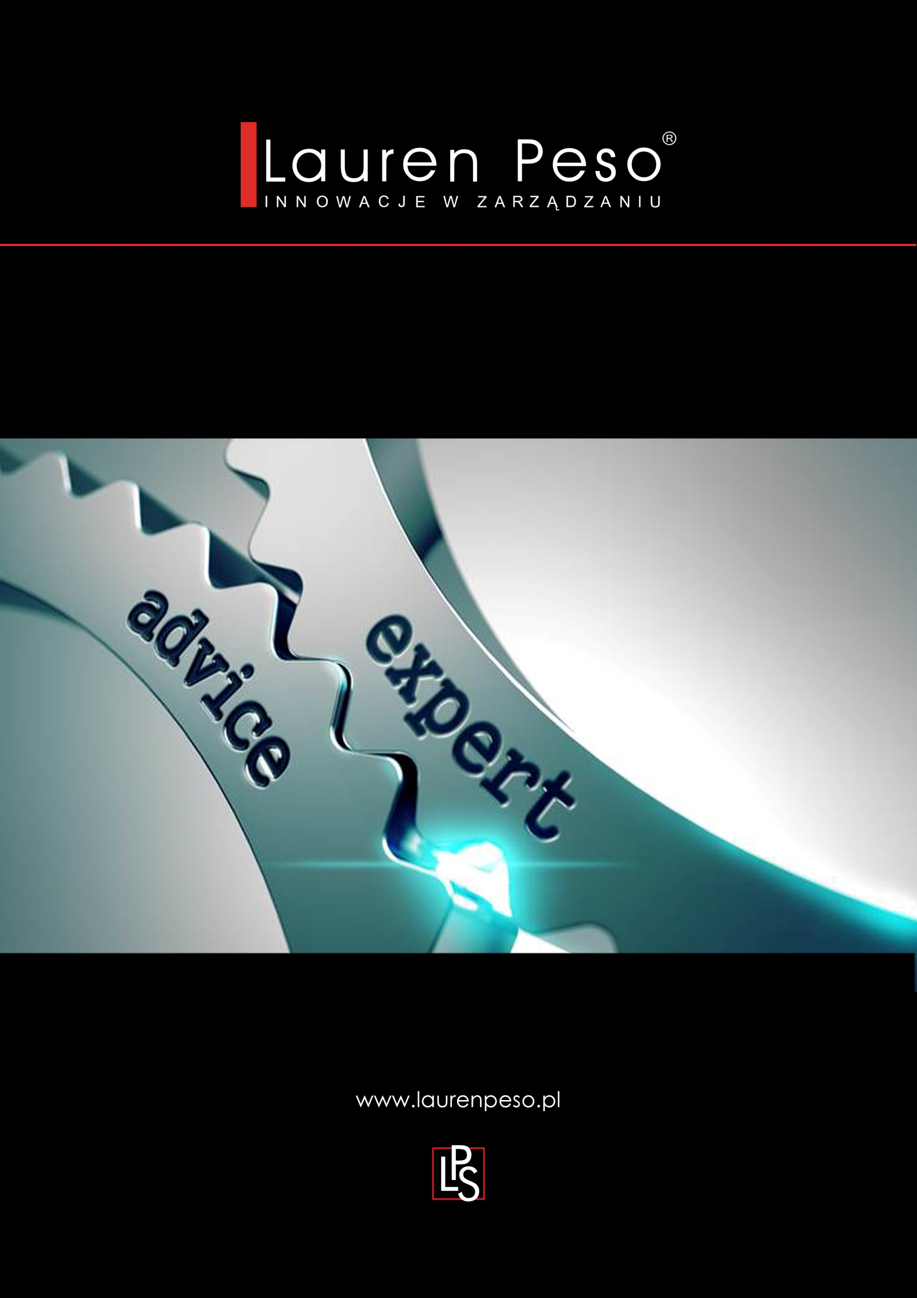 RAPORT ZA IV