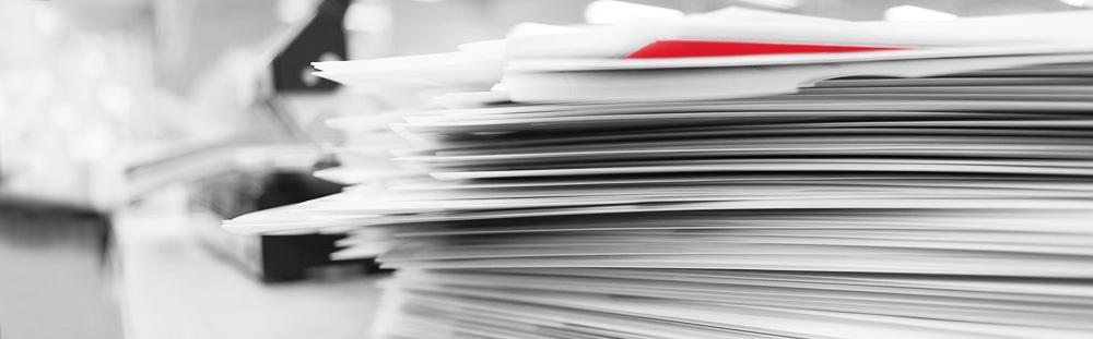 Rejestracja Ostatnim istotnym krokiem do formalnego zakończenia przygotowań do obozu jest pozytywne przejście procesu rejestracji.