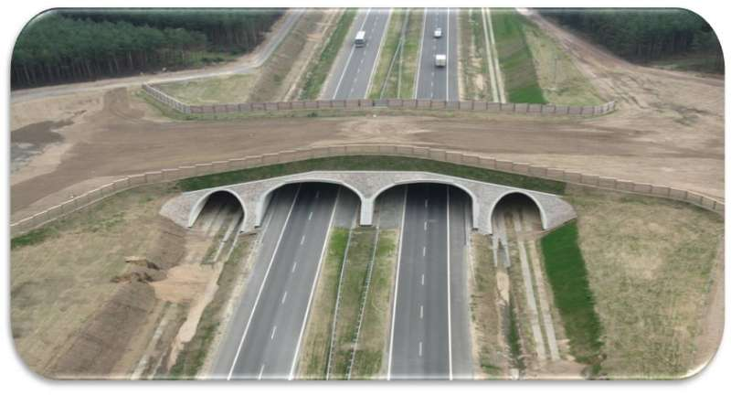 Celem Generalnej Dyrekcji Dróg Krajowych i Autostrad jest przygotowanie inwestycji w zgodzie z wymogami, procedurami, uwzględnieniem postulatów zarówno lokalnych społeczności jak i środowisk