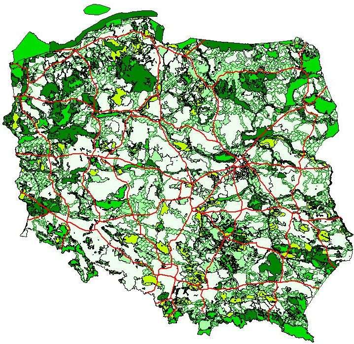 Intensywność prowadzonej obecnie rozbudowy sieci drogowej w Polsce powoduje, że uniknięcie kolizji z obszarami chronionymi oraz z łączącymi je korytarzami ekologicznymi staje się praktycznie