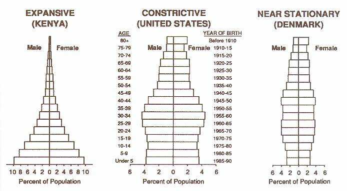 Piramidy demograficzne wg Haupt i Kane 1991